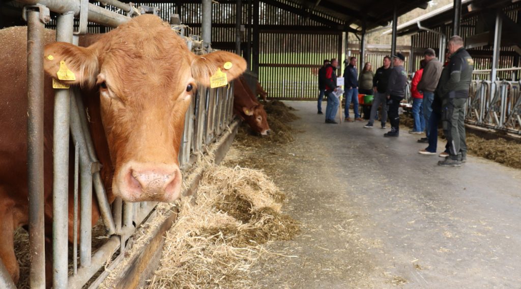 landwirtschaftlichen Betrieben