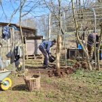 Unterstützungsfonds