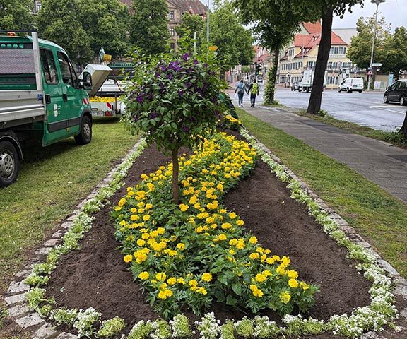 Sommerblumen