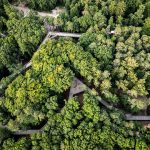 Tiergarten
