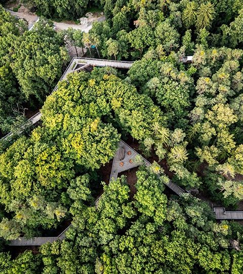 Tiergarten